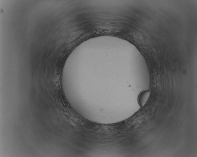 X0000089671109200707121217