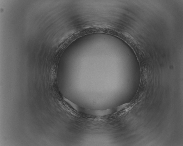 X0000089671110200707121217