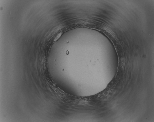 X0000089671111200707121217