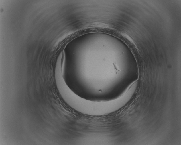 X0000089671112200707121217