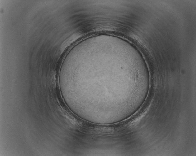 X0000089671113200707121217