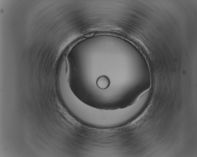 X0000089671114200707121217