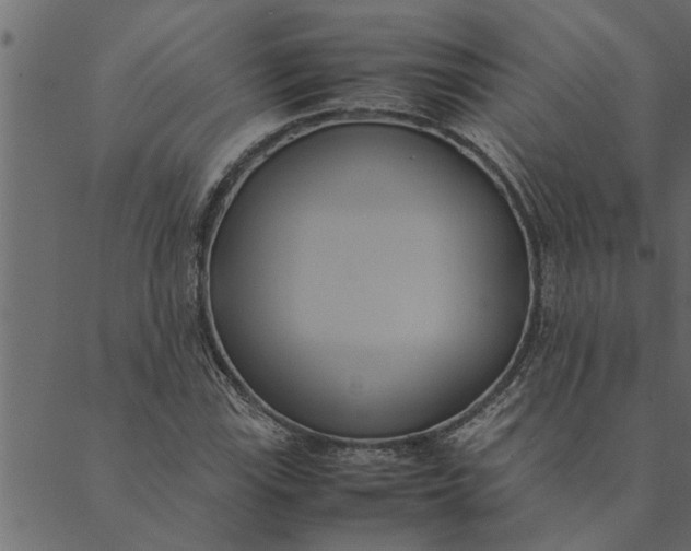 X0000089671115200707121217