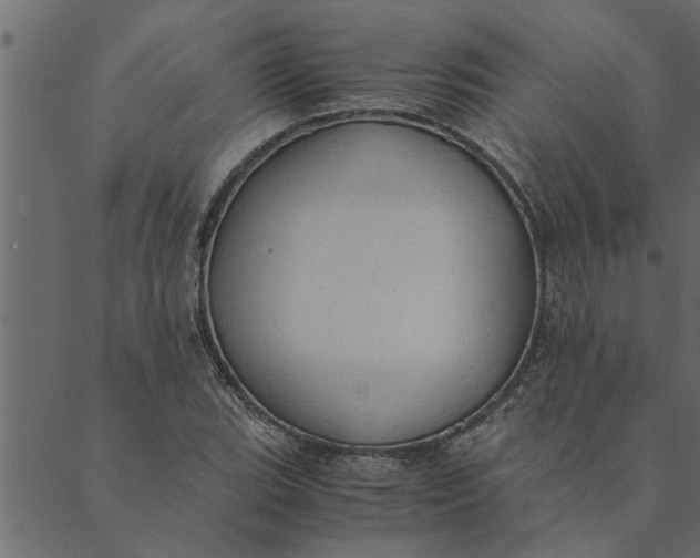 X0000089671119200707121217