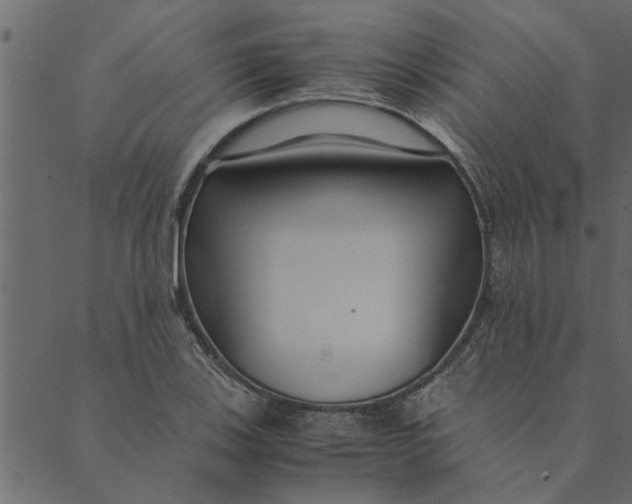 X0000089671123200707121217