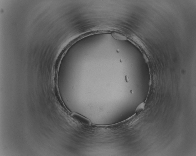 X0000089671124200707121217