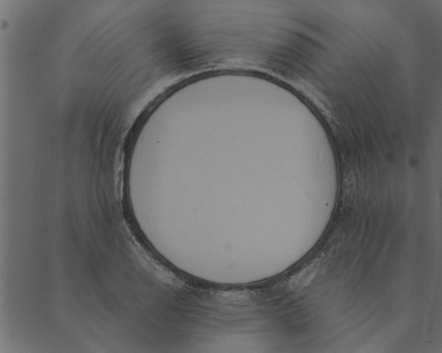 X0000089671126200707121217