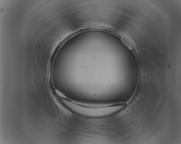 X0000089671128200707121217