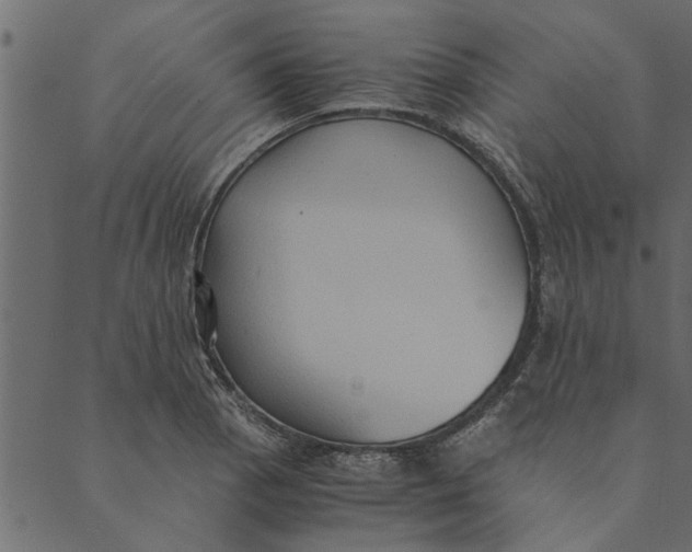 X0000089671129200707121217