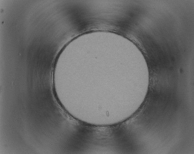 X0000089671130200707121217