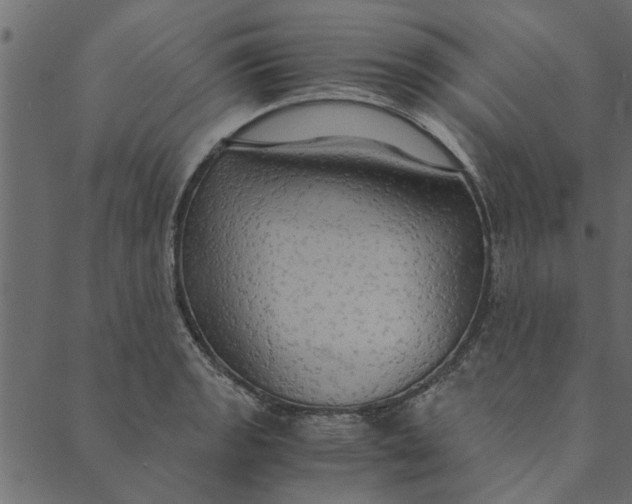 X0000089671133200707121217