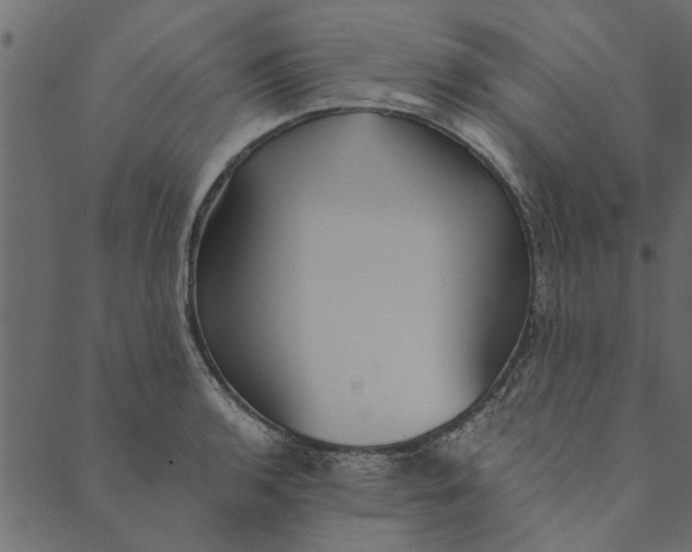 X0000089671136200707121217