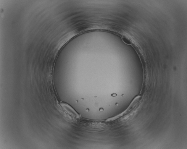 X0000089671137200707121217