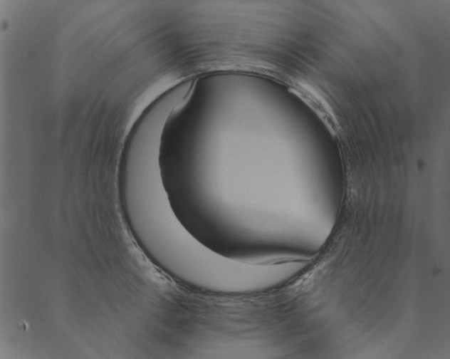 X0000089671138200707121217