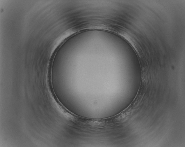 X0000089671139200707121217