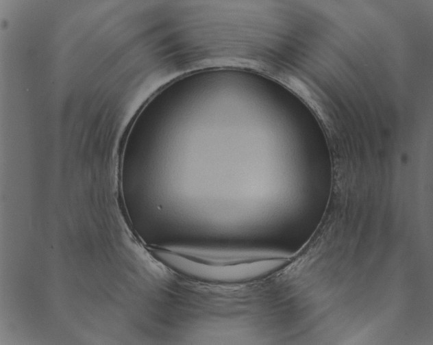 X0000089671140200707121217