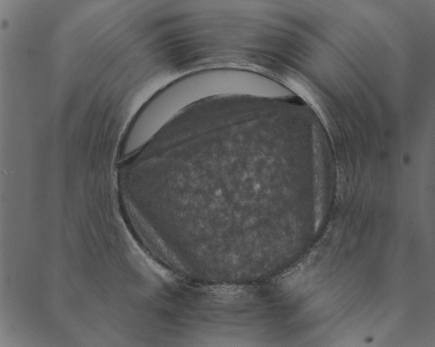 X0000089671141200707121217