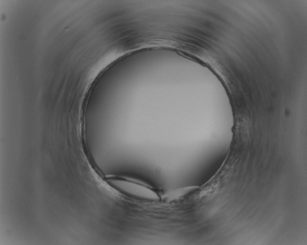 X0000089671143200707121217