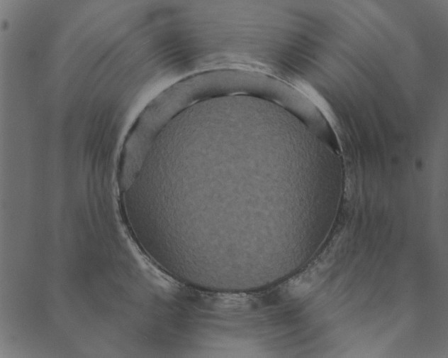 X0000089671144200707121217