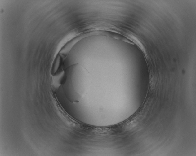 X0000089671146200707121217