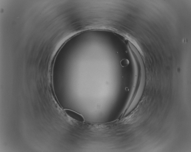 X0000089671148200707121217