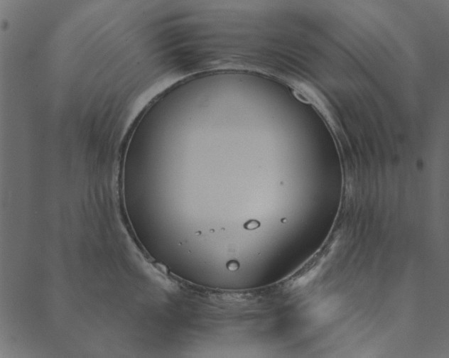 X0000089671149200707121217