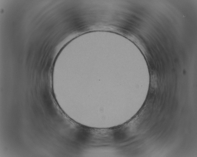 X0000089671150200707121217