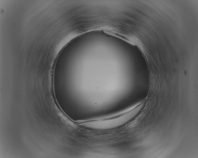 X0000089671151200707121217