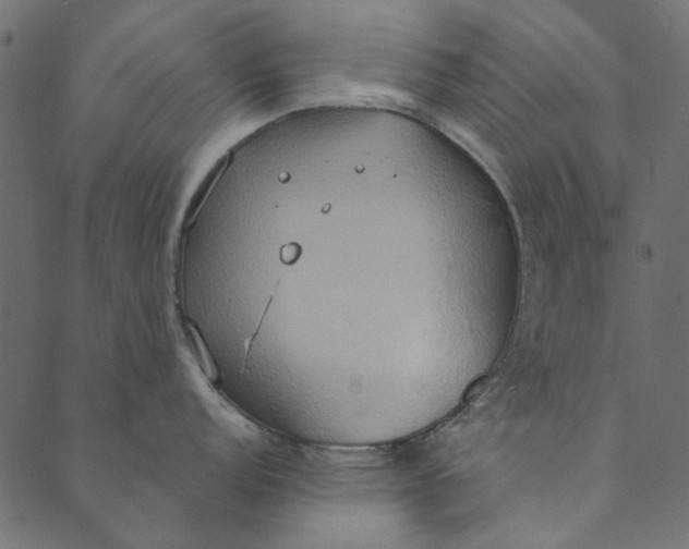 X0000089671152200707121217