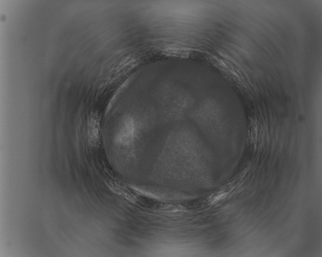 X0000089671154200707121217