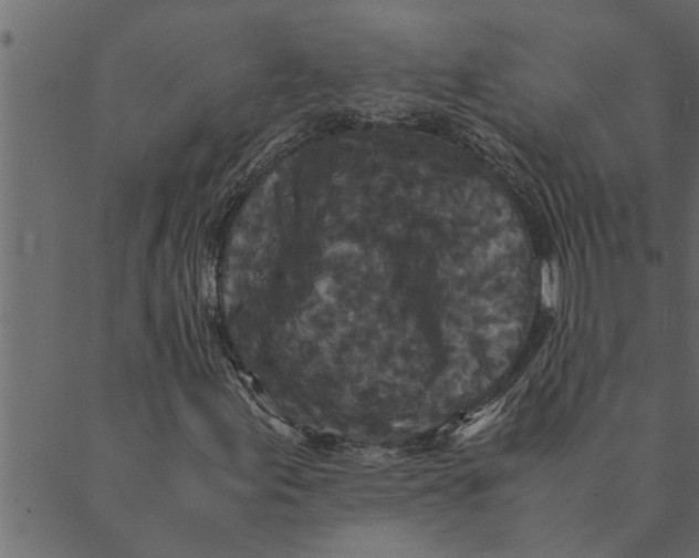 X0000089671155200707121217