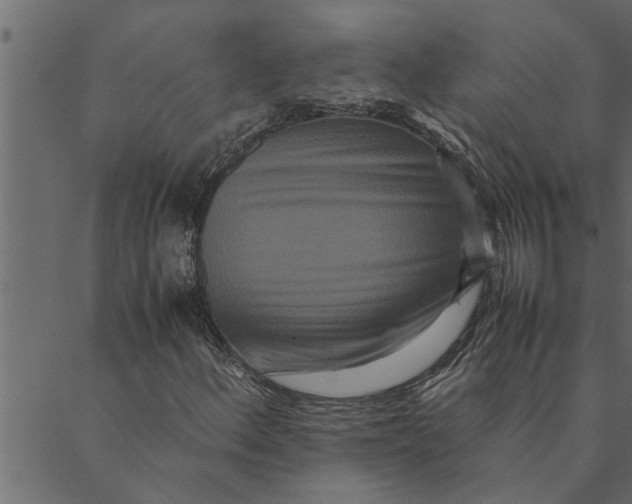 X0000089671156200707121217