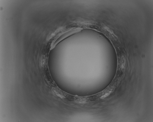 X0000089671157200707121217