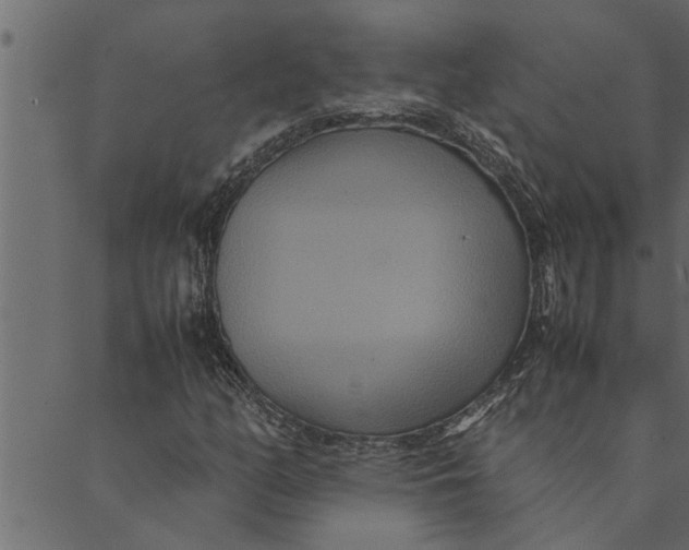 X0000089671158200707121217