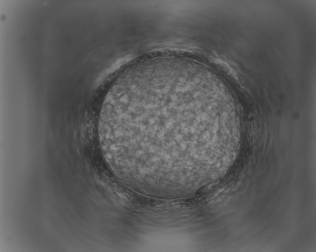 X0000089671159200707121217