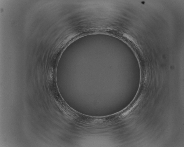 X0000089671161200707121217