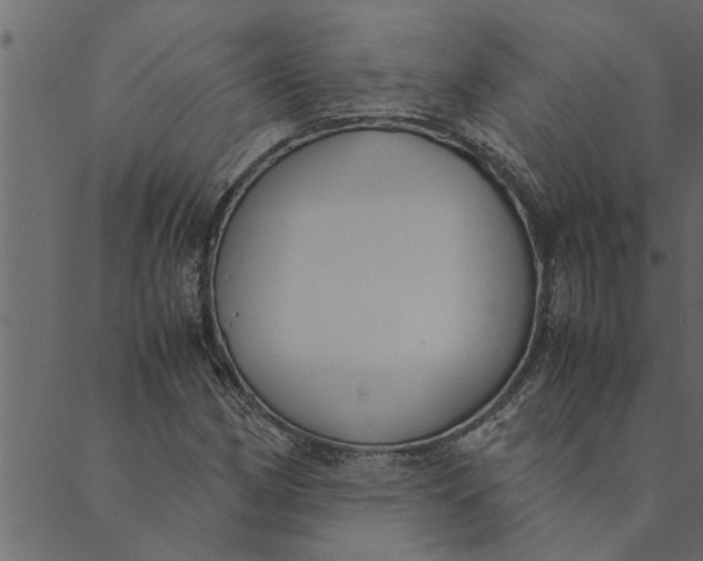 X0000089671162200707121217