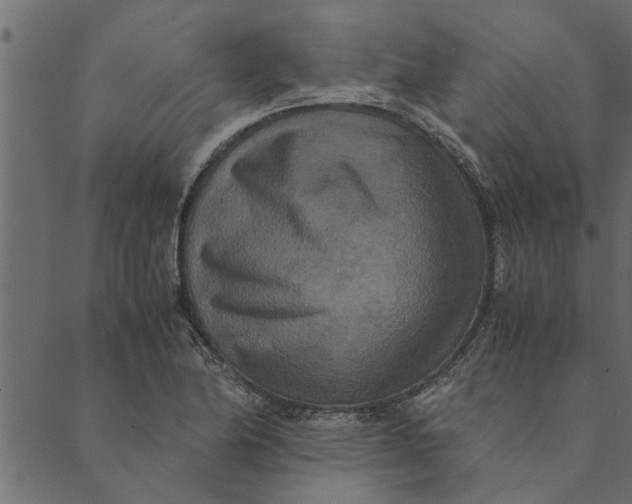 X0000089671174200707121216
