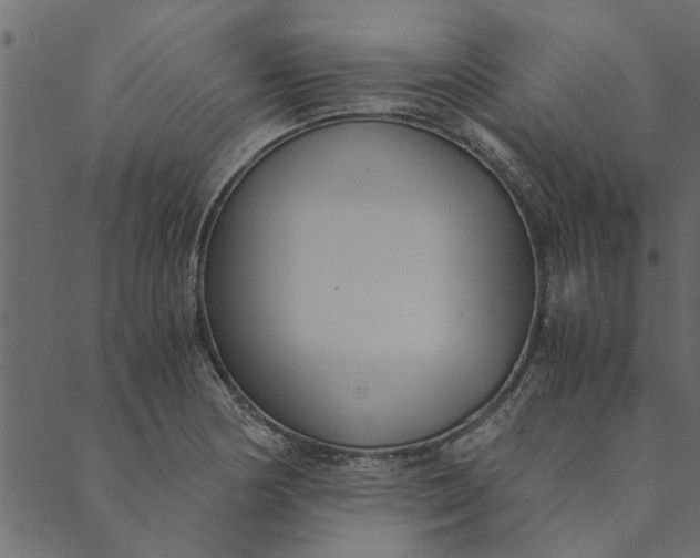 X0000089671178200707121216