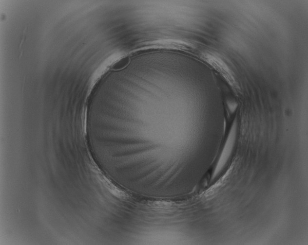 X0000089671180200707121216