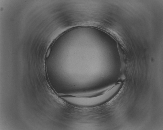 X0000089671184200707121216