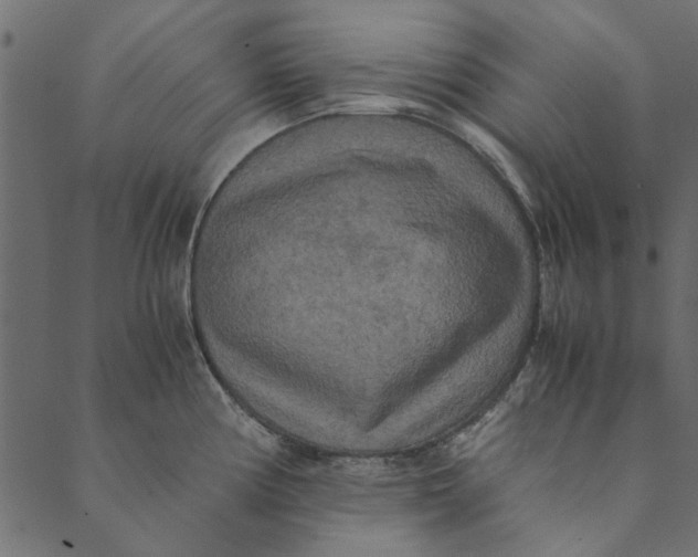 X0000089671194200707121216