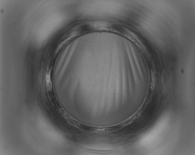 X0000089671198200707121216