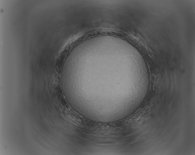 X0000089671207200707121215