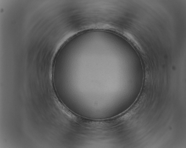 X0000089671232200707121216