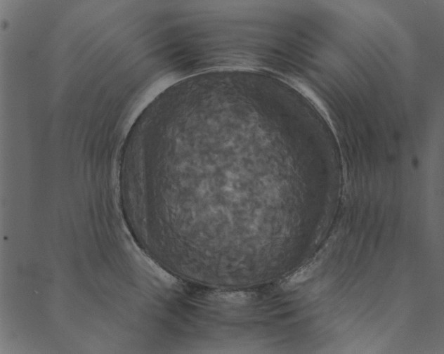 X0000089671243200707121216