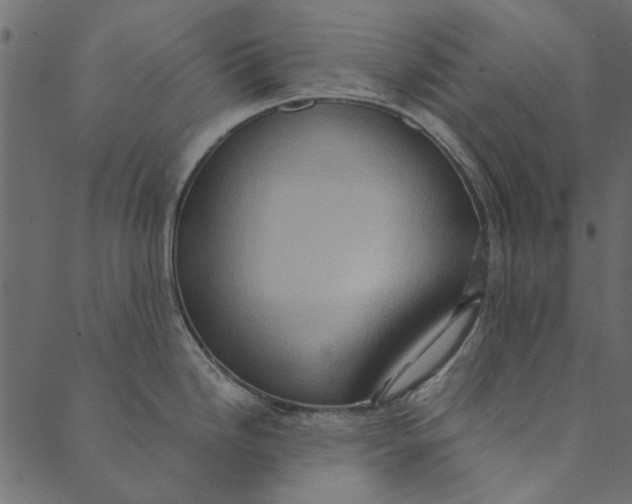 X0000089671246200707121216