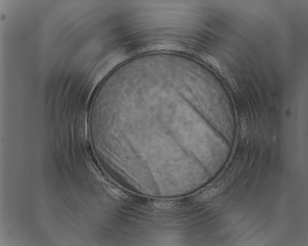 X0000089671274200707121215
