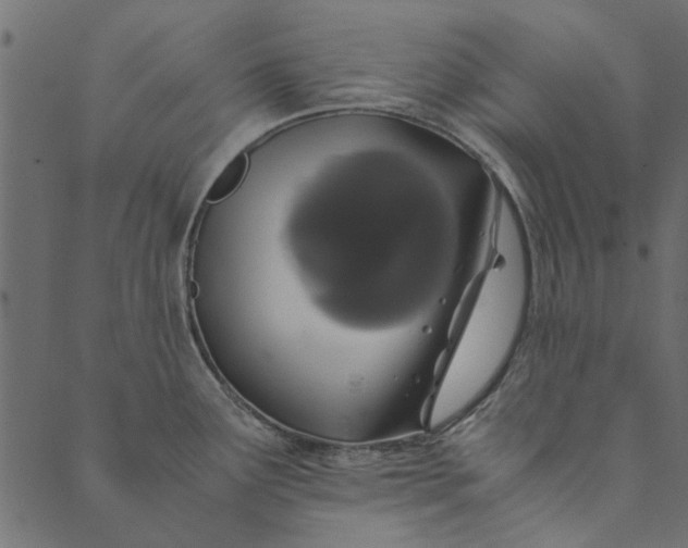 X0000089671291200707121214