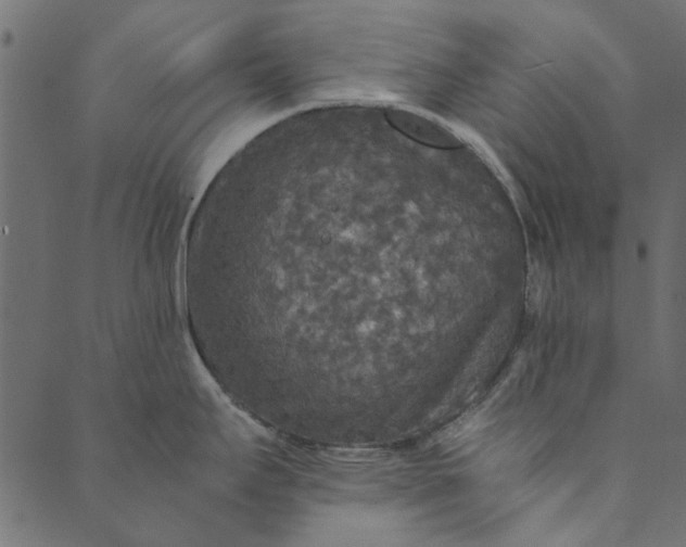 X0000089671295200707121214